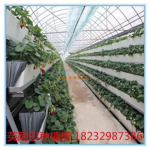 温室草莓立体种植槽 果蔬无土栽培槽 英耐尔椰糠基质槽